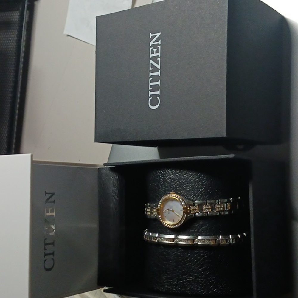 Citizen Watch w/matching bracelet